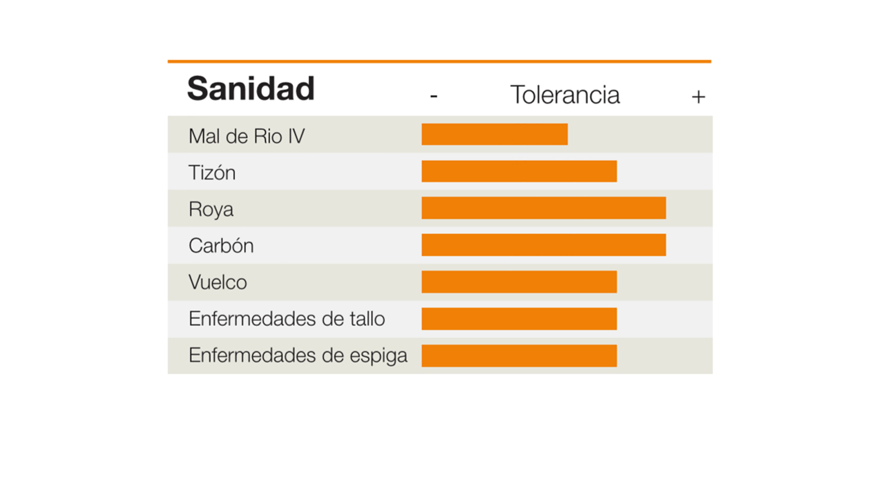 KWS-AR-CORN-SANIDAD-KM-4360-ASGASGLStack.png
