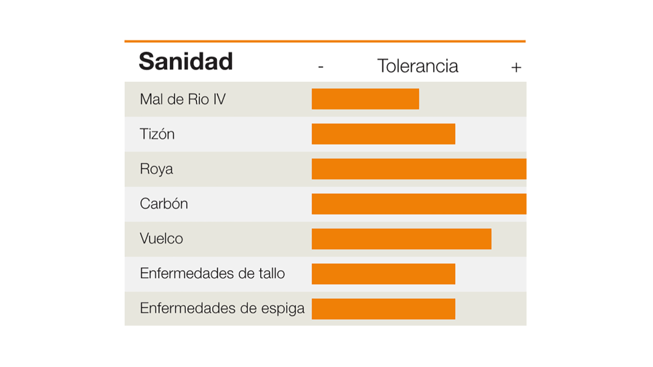 KWS-AR-CORN-SANIDAD-KM-4500-G-GLStack.png