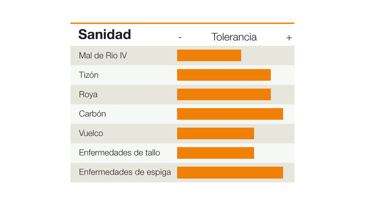 KWS-AR-CORN-SANIDAD-KM-4580-VT3P.png
