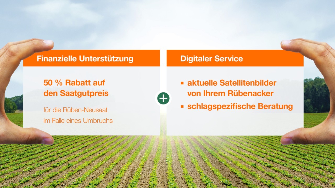 rueben-mehrwert-service-saeulen.jpg