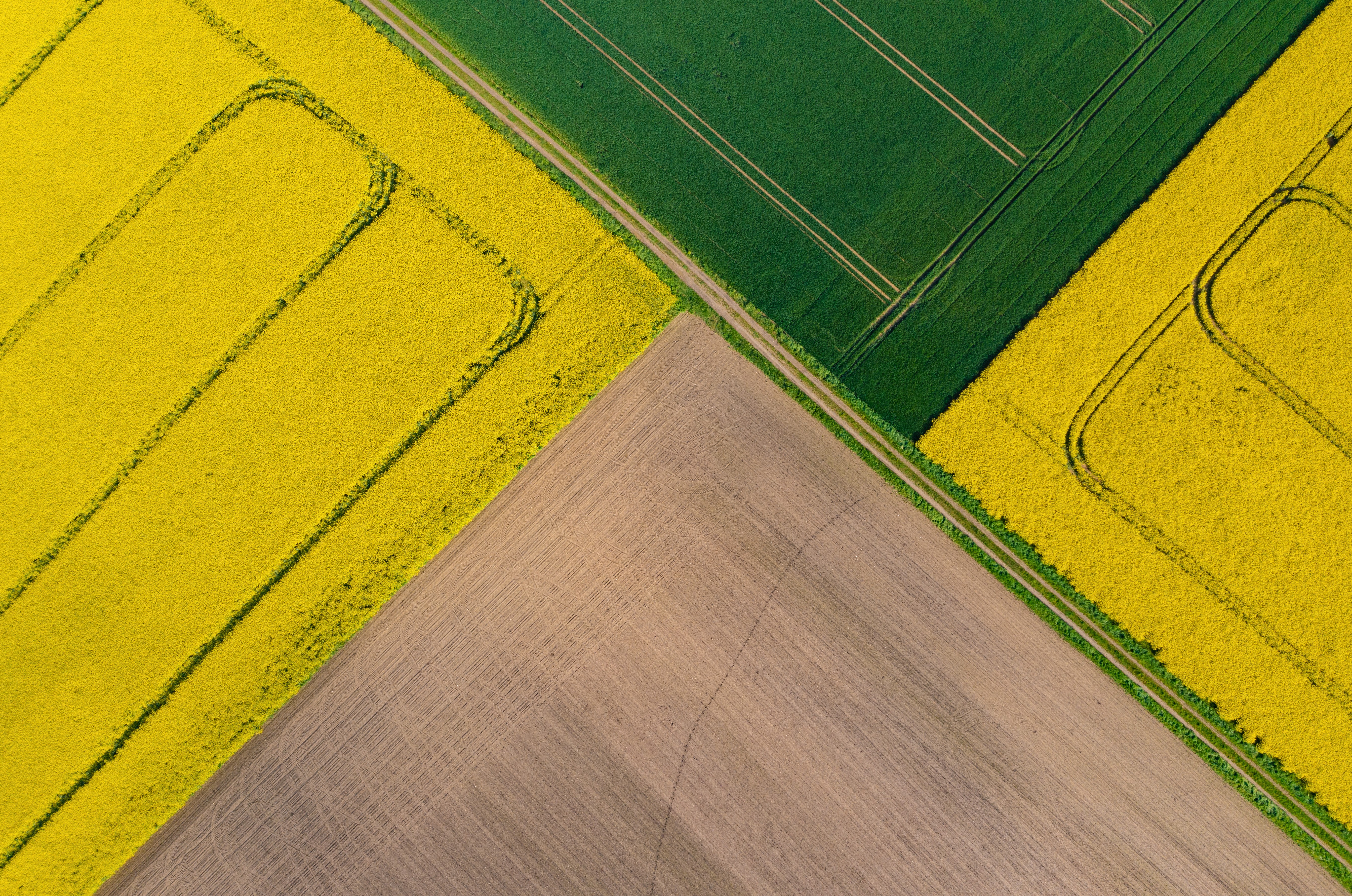 grain cereals in hand