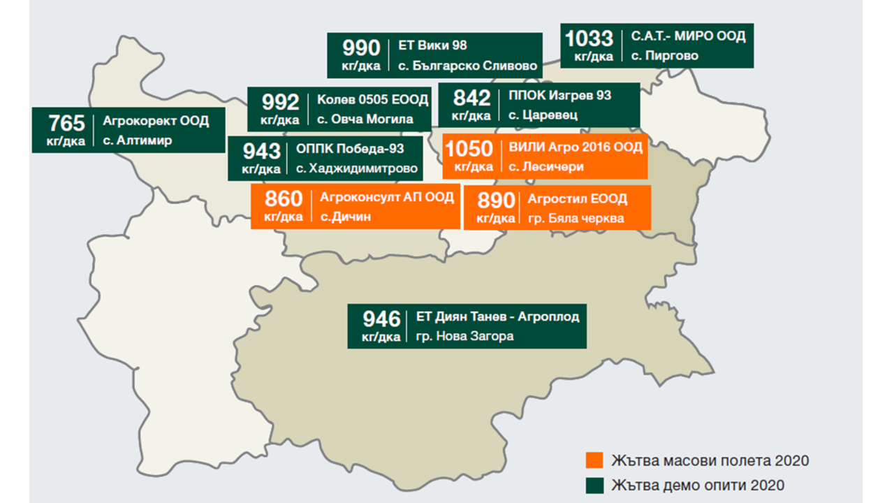 KWS-BELAVISTA-graphic.png