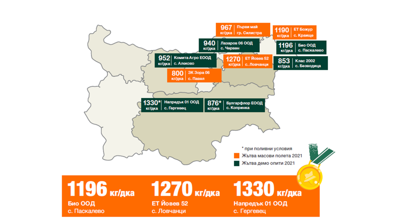 KWS-KAPITOLIS-graphics.png