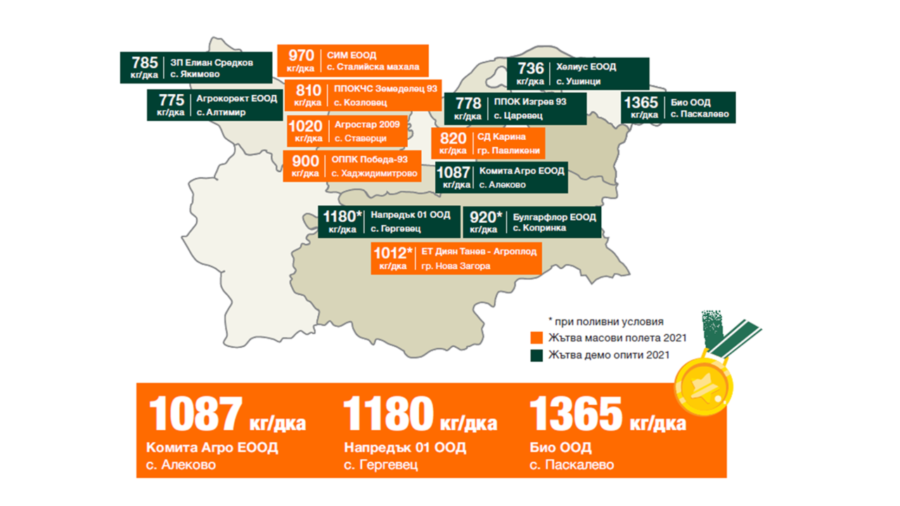 KWS-KOLEGAS-graphic.png