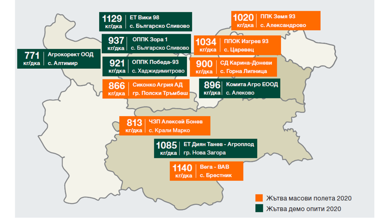 KWS-KONFITES-graphic.png