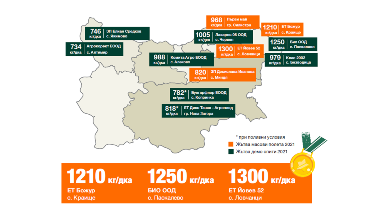 kws_bg_akustika_bg.png