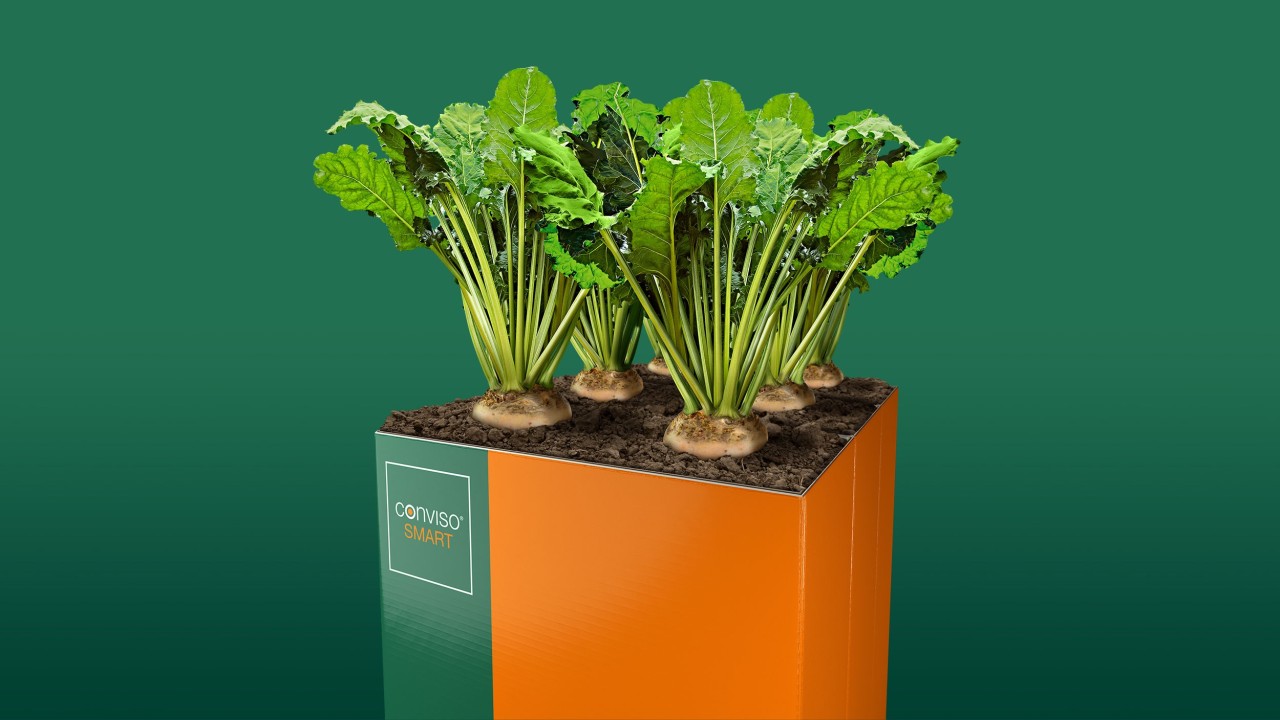 KWS_ConvisoSmart_Webvisual_16_9_2500x1408_Rizomania.jpg