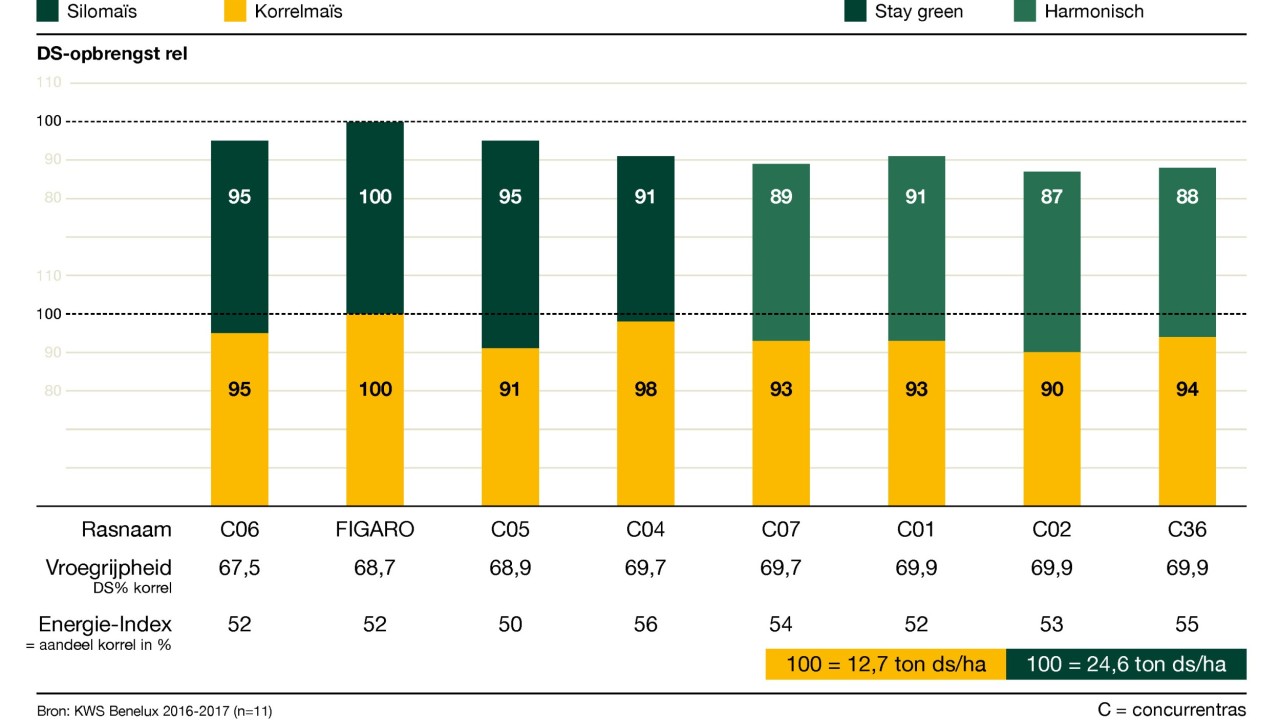 kws_be_nl_mais_infochart_figaro.jpg