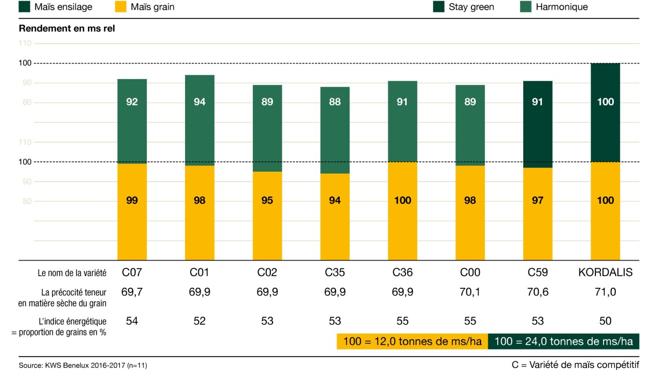 kws_be_fr_mais_infochart_kordalis.jpg