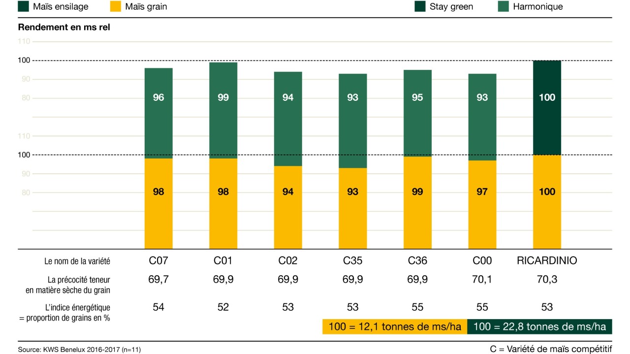 kws_be_fr_mais_infochart_ricardinio.jpg