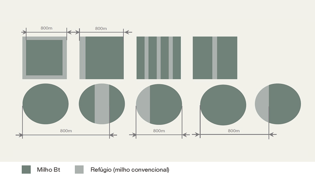 kws_br_exemploareaderefugio-2.png
