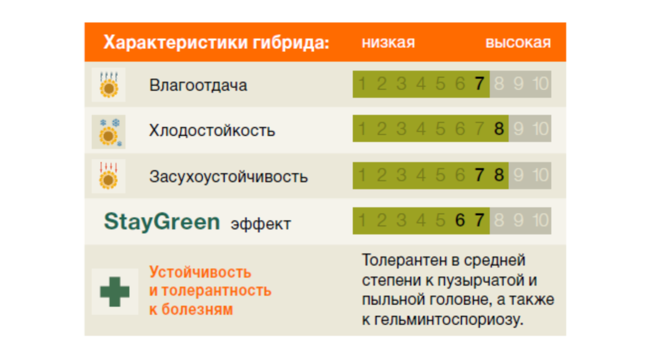 KWS_Maize_Kaprilias-gr.png