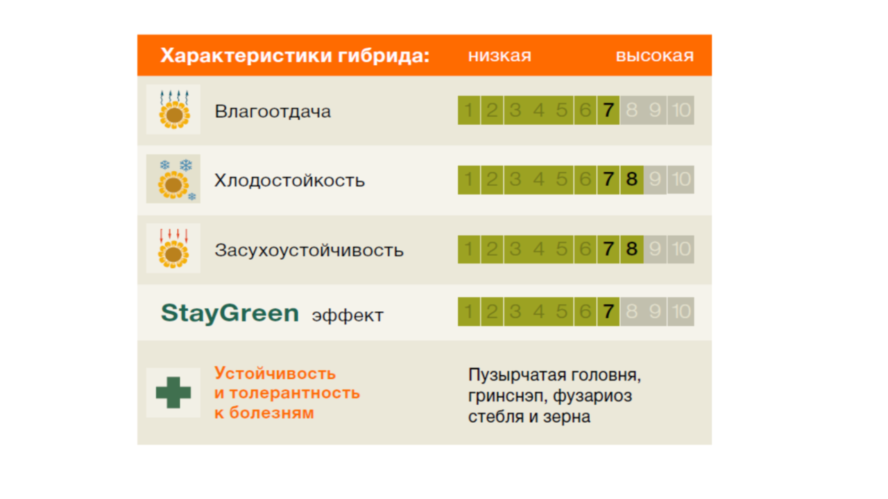 KWS_Maize_Kilomeris-gr.png