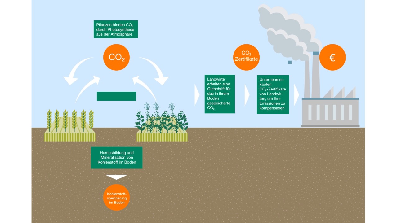 Von der Kohlenstoffbindung zu neuen CO2-Zertifikaten