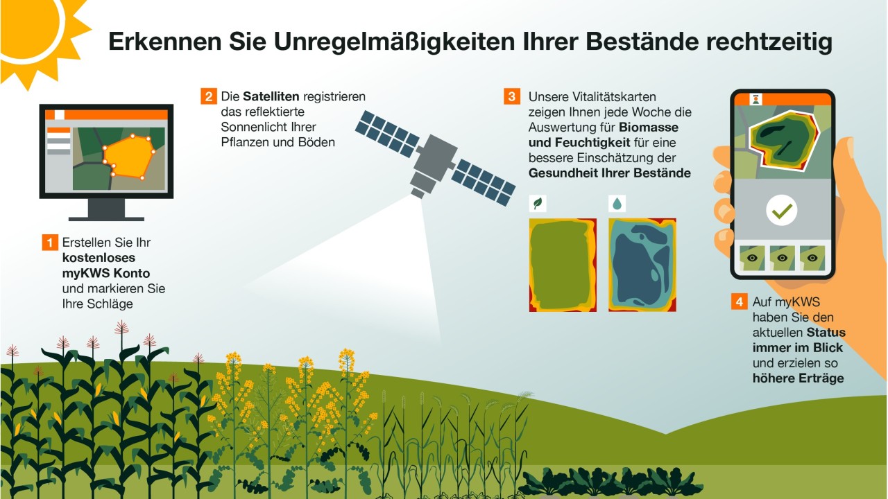 (Quelle: www.kws.de/vitalitaets-check)