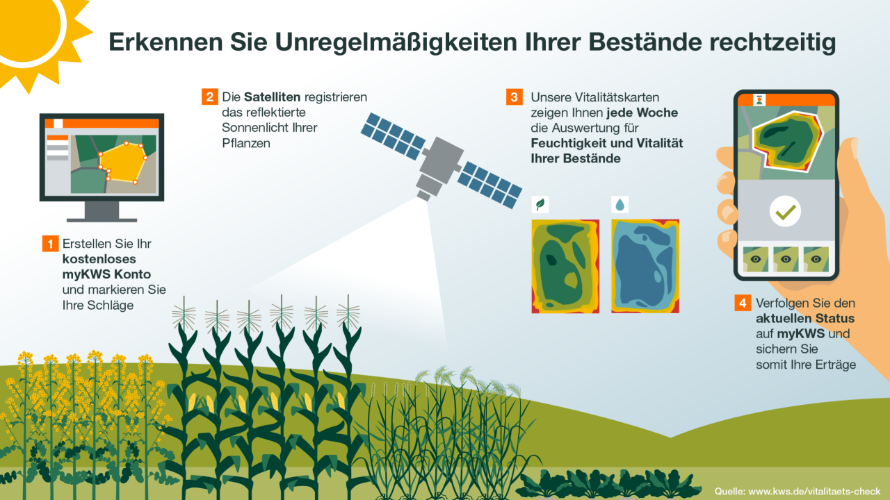 KWS-DE-Infografik-Vitalitaets-Check_v02.png
