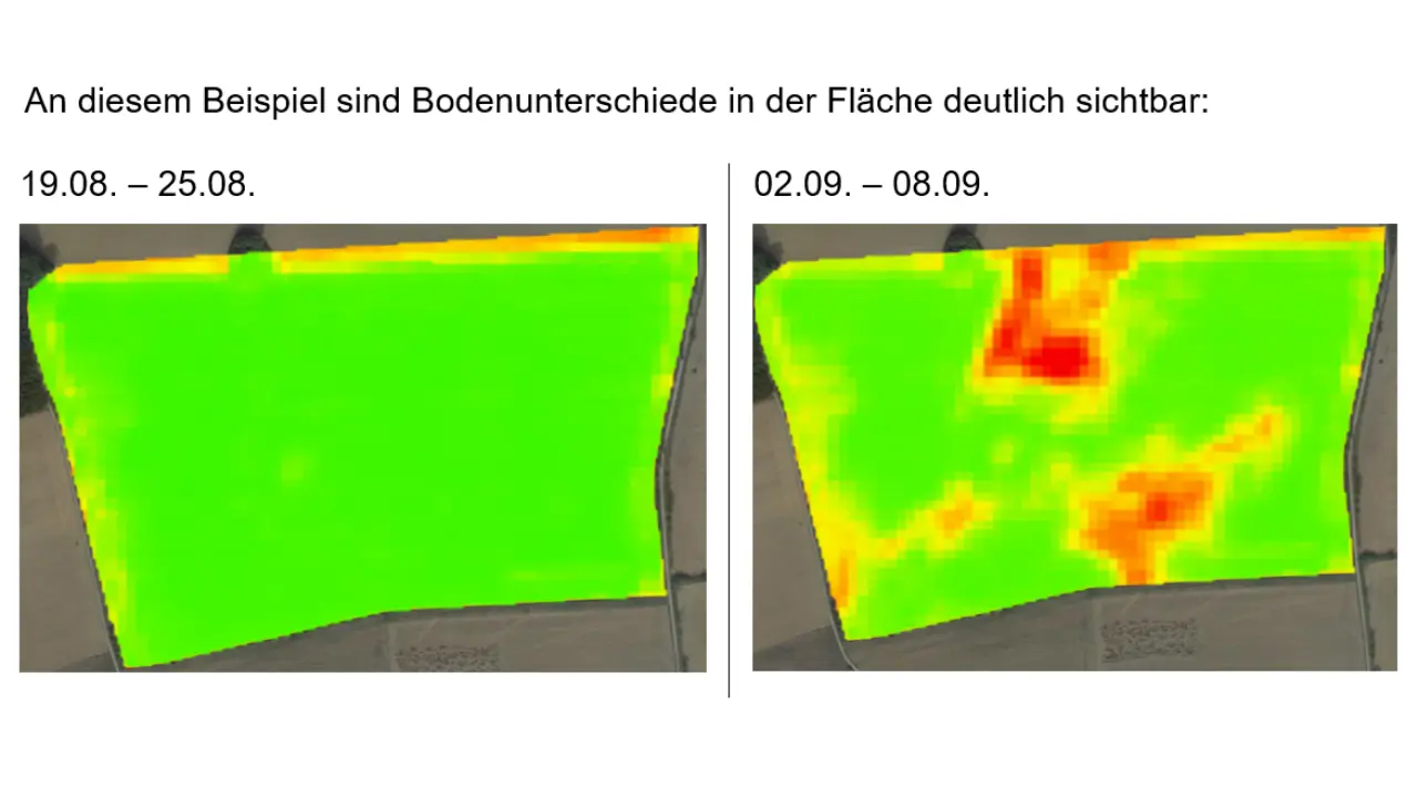 ndvi-bodenunterschiede.png