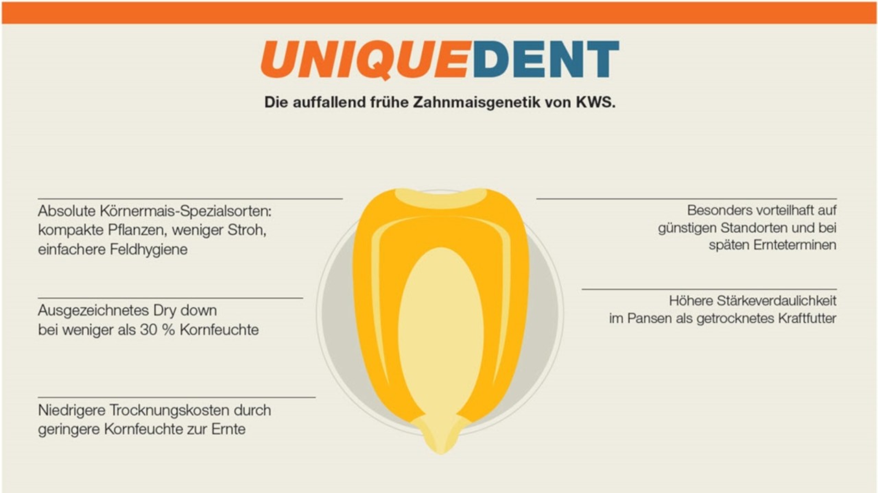 uniquedent.jpg