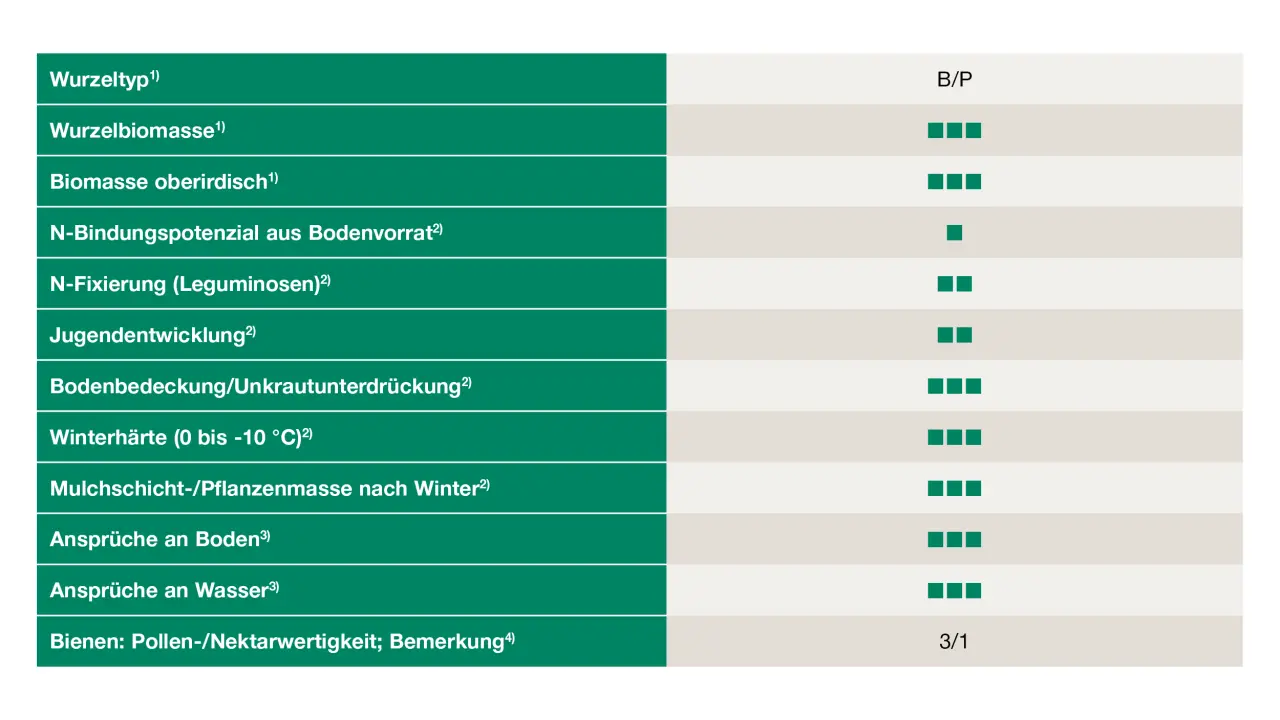 Uebersicht_Alexandrinerklee