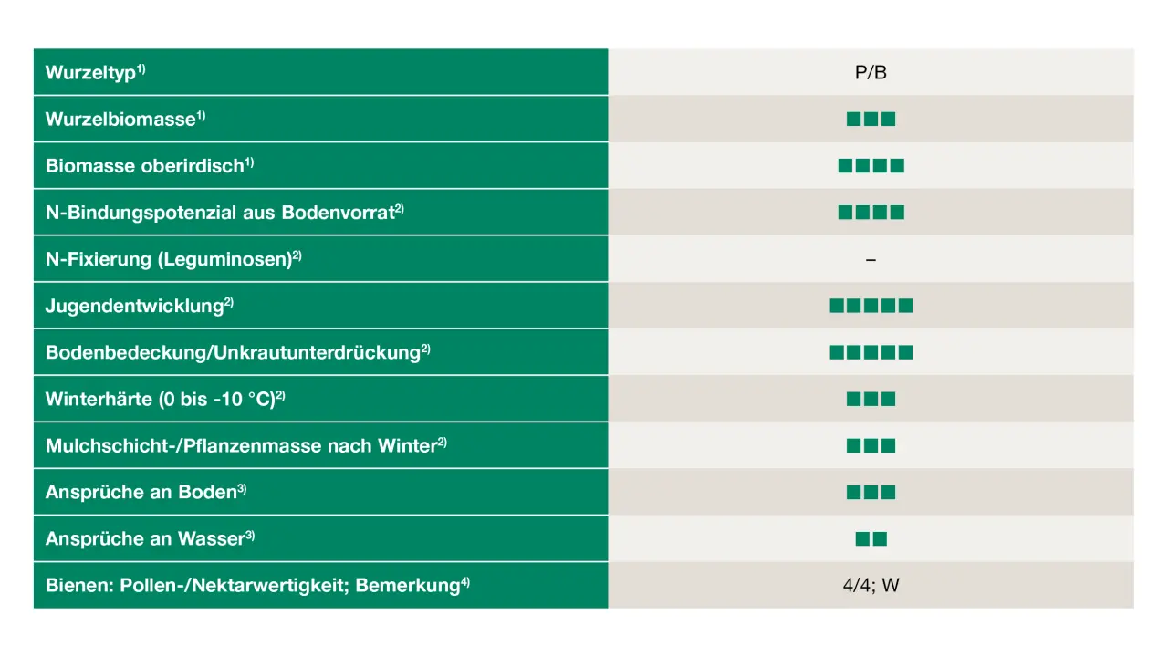 Uebersicht_Gelbsenf_Weißer-Senf