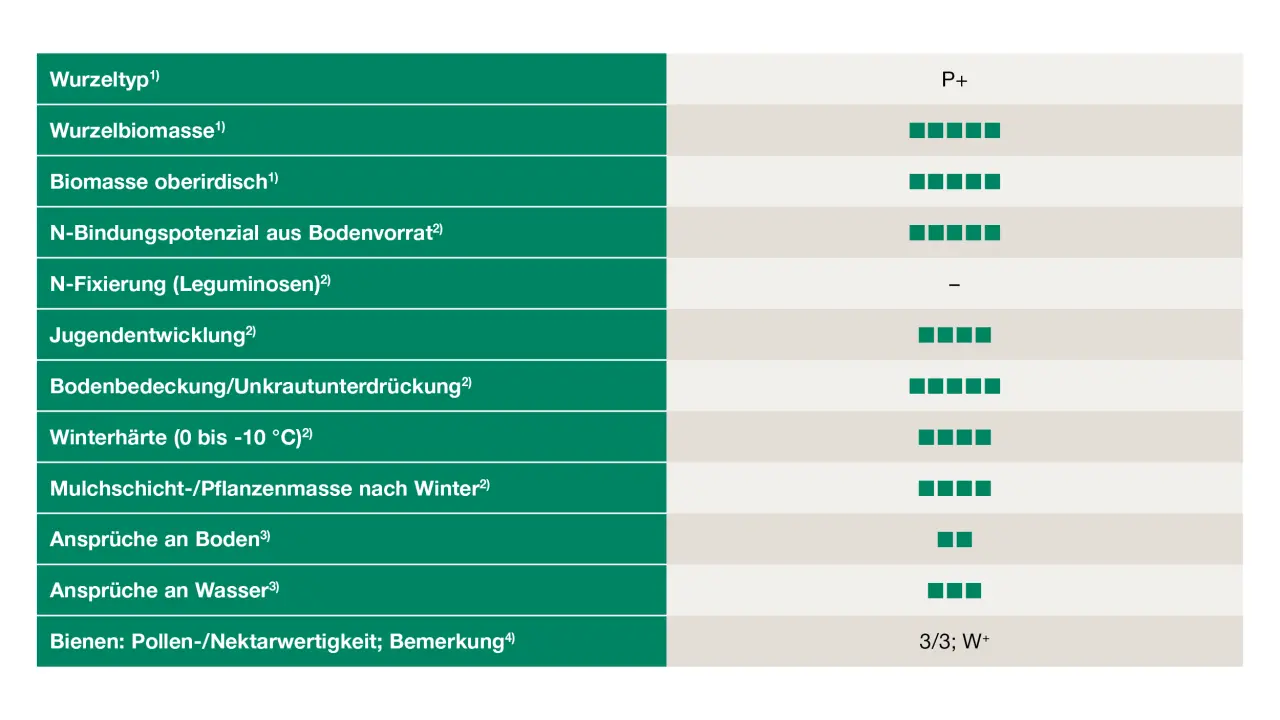 Uebersicht_Oelrettich