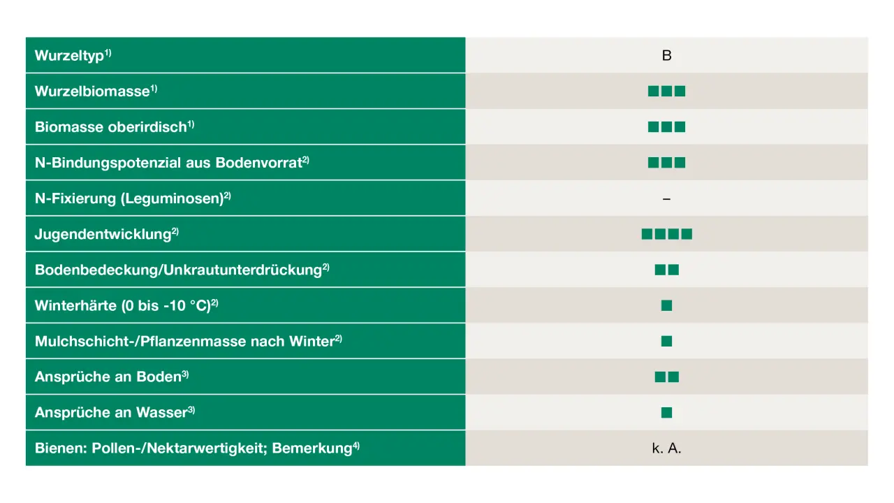 Uebersicht_Ramtillkraut