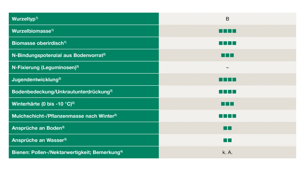 Uebersicht_Rauhafer