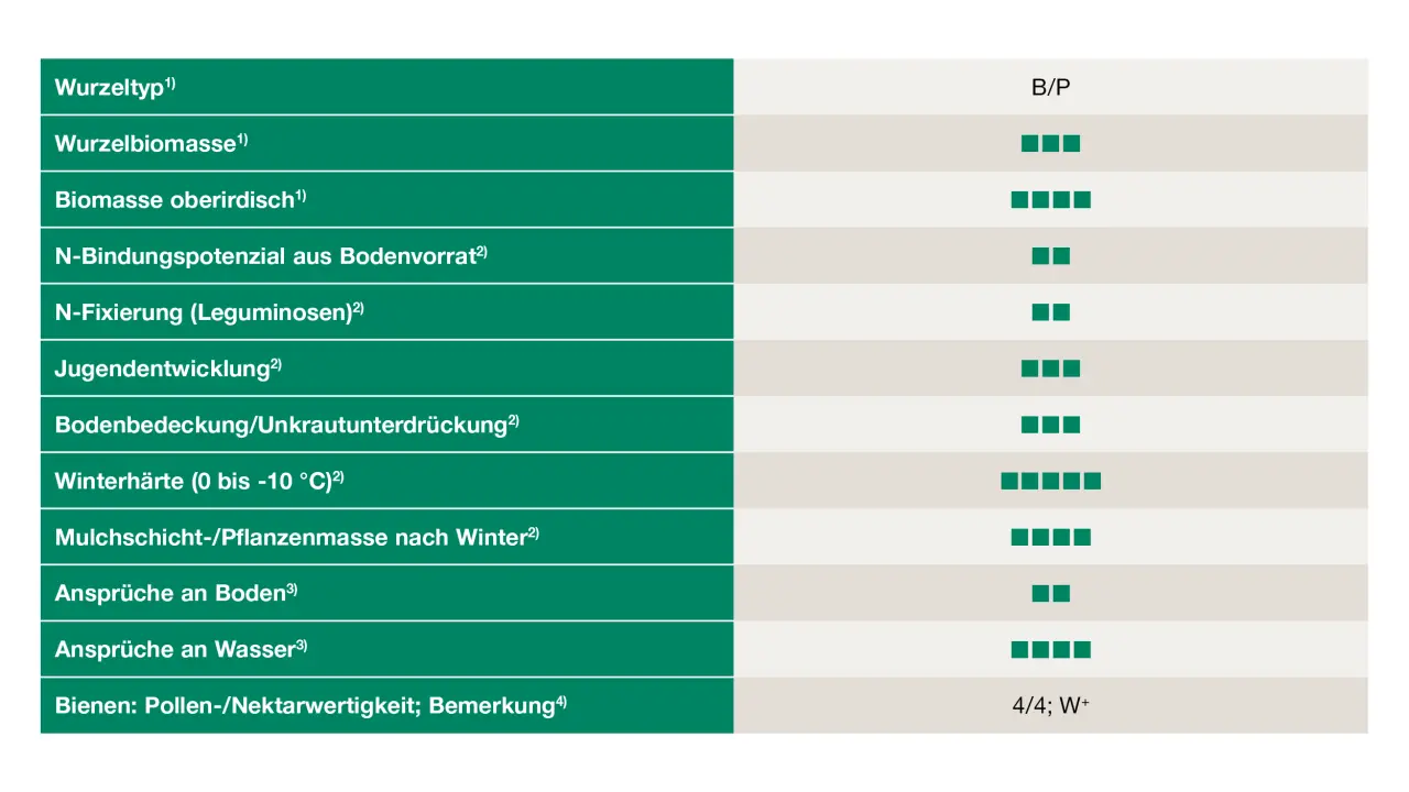 Uebersicht_Rotklee