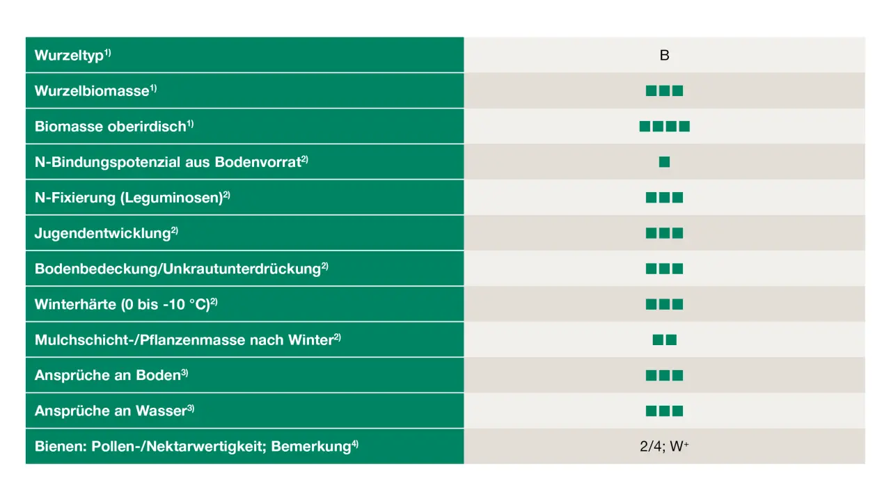 Uebersicht_Saatwicken
