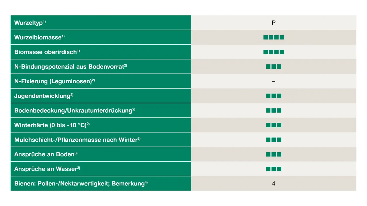 Uebersicht_Saflor