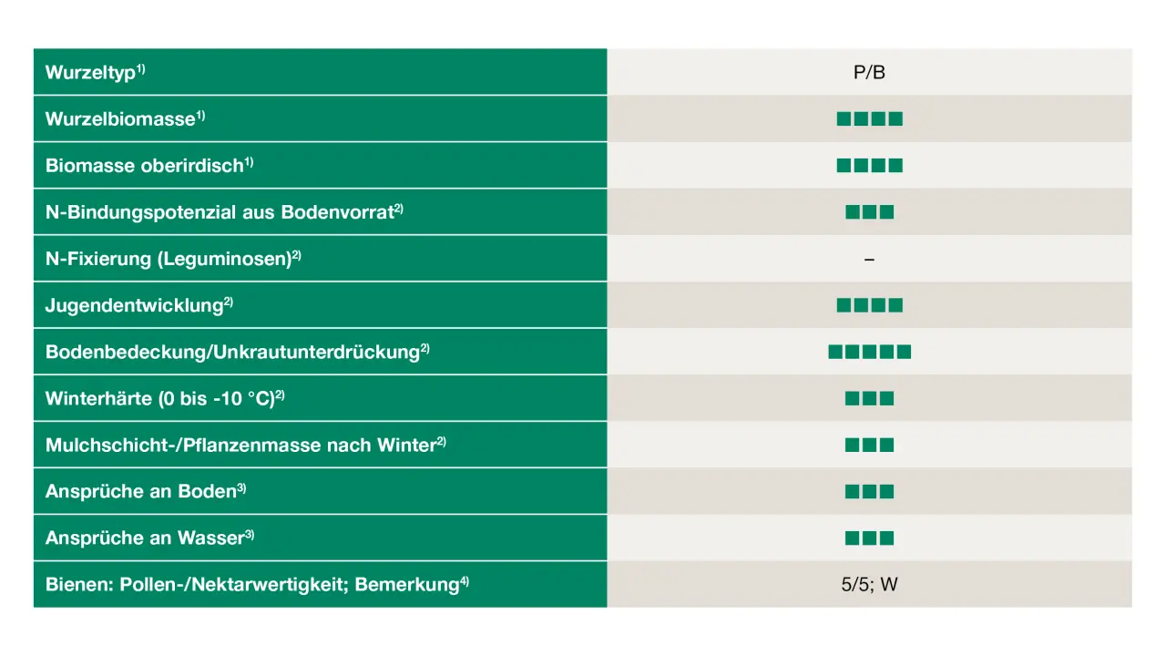 Uebersicht_Sommerfutterraps
