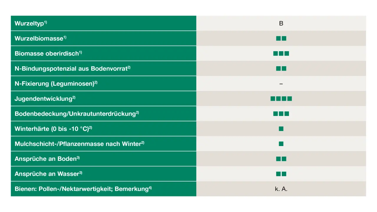 Uebersicht_Tatarischer-Buchweizen