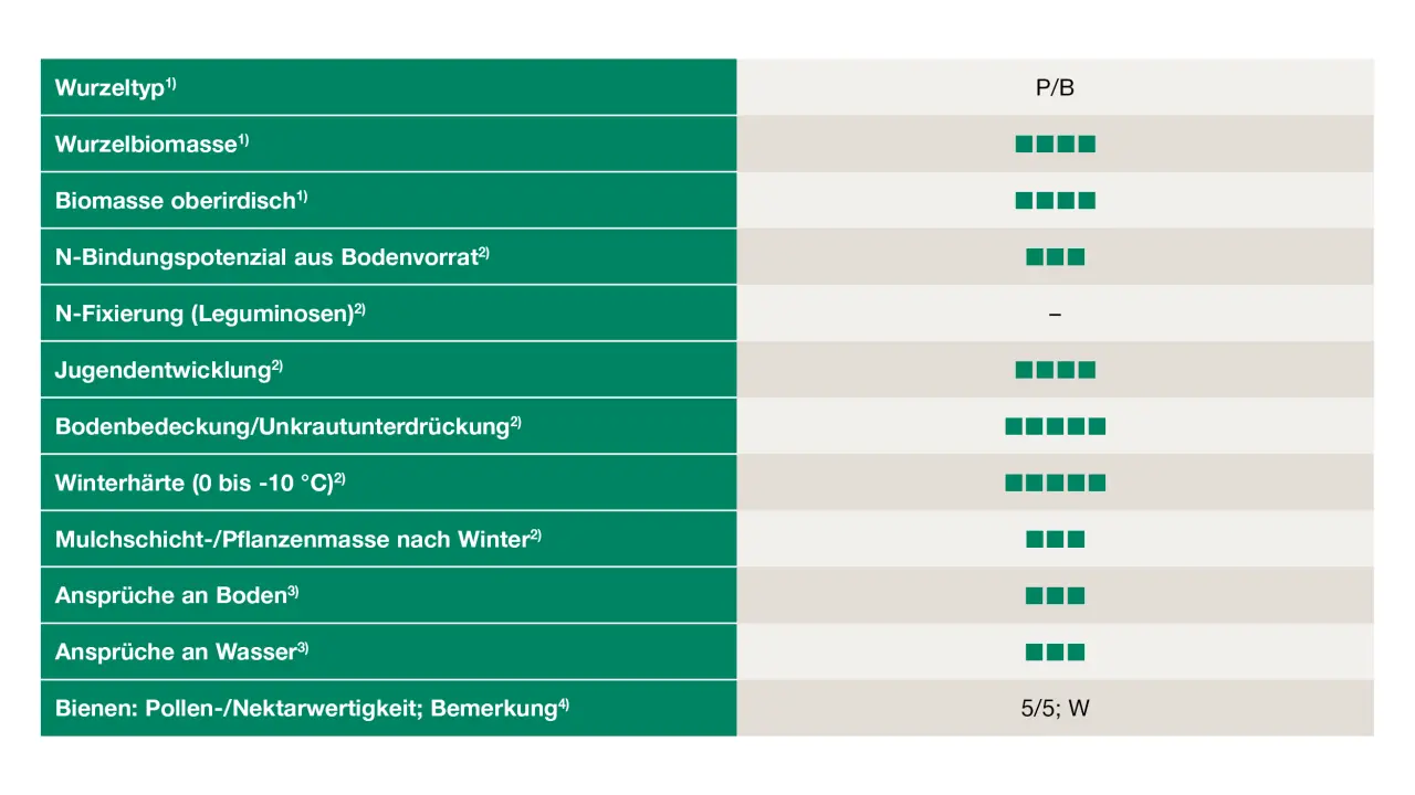 Uebersicht_Winterfutterraps