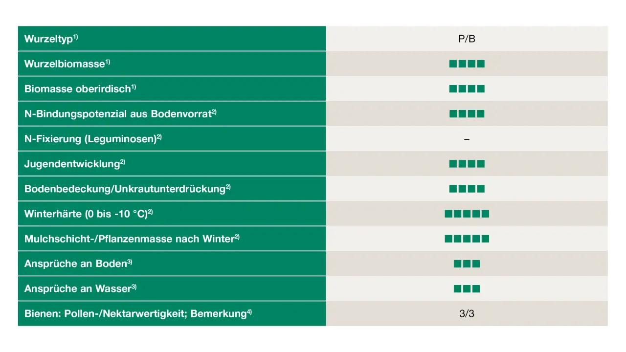 Uebersicht_Winterruebsen