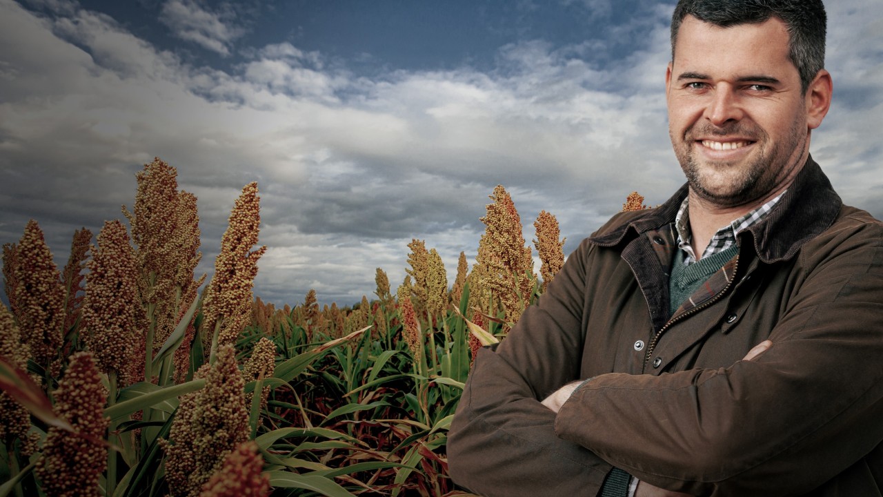 KWS_sorghum_farmer.jpg