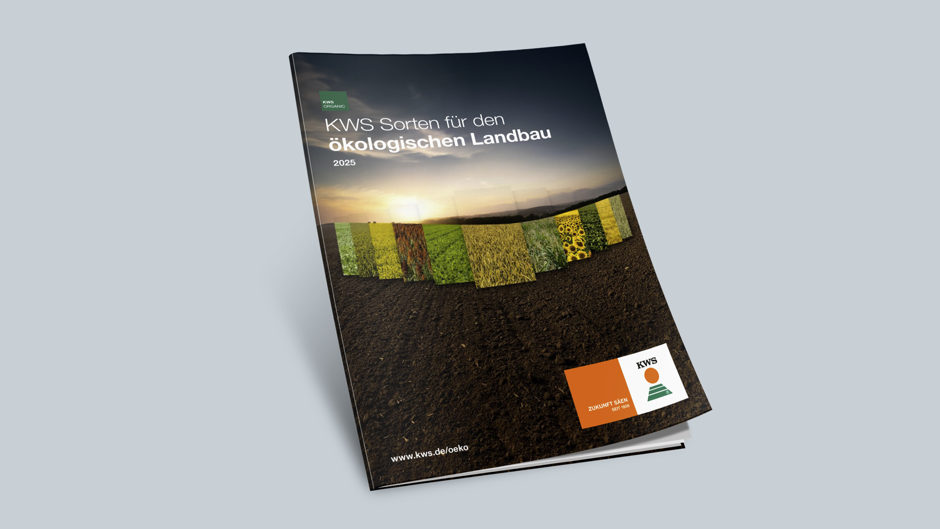 Titelbild KWS Sorten für den ökologischen Landbau