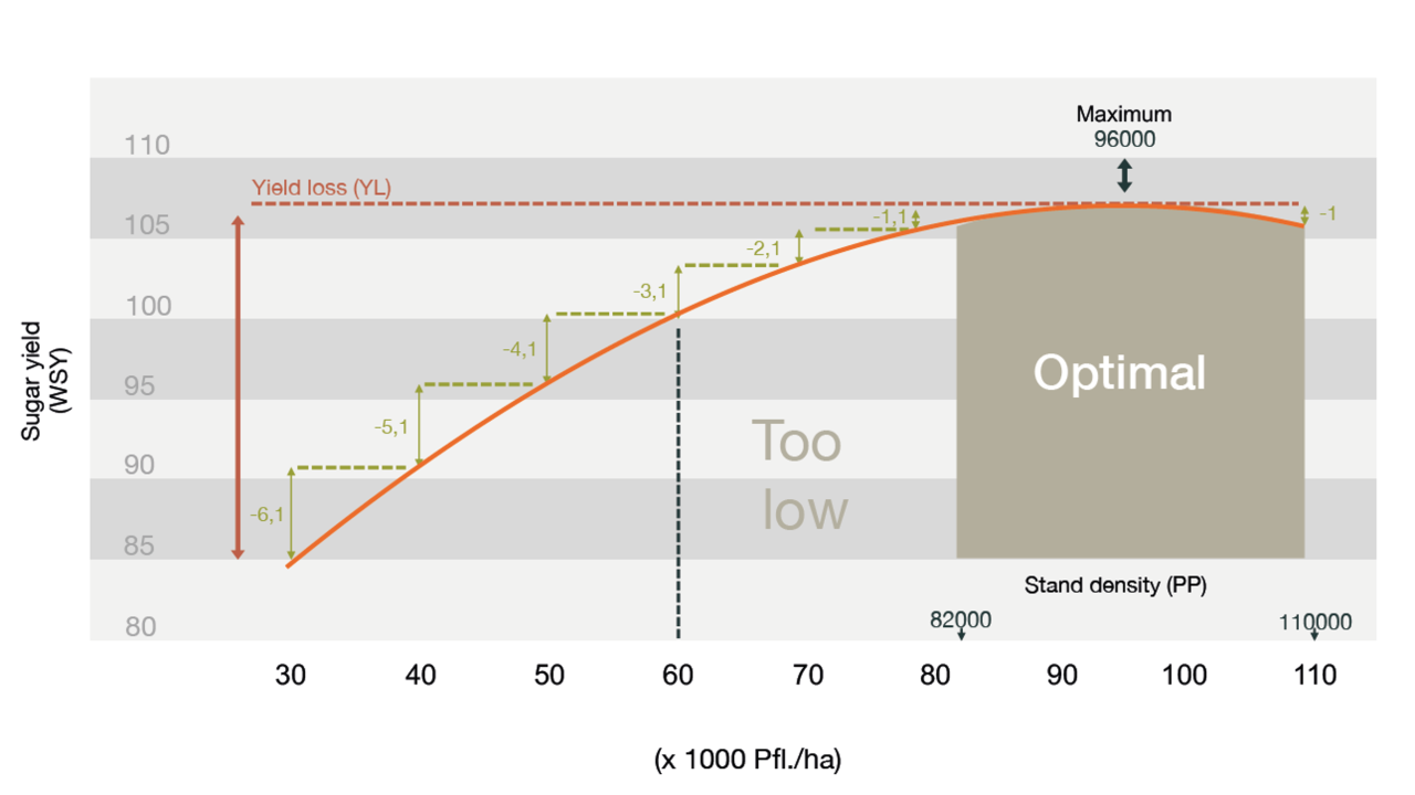 consulting_sowing_sugarbeet_yield_optimal.png