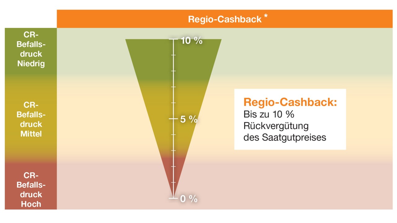 *Jedes Jahr erheben wir bundesweit regionale Cercospora-Befallsdaten, zur Grundlage für die Berechnung des Regio-Cashbacks. Als Teilnehmer des Rüben-MehrWert-Service können Sie die Vorteile des Regio-Cashbacks nutzen. Die Einzelheiten und genauen Voraussetzungen der Teilnahme ergeben sich aus den Teilnahmebedingungen zu der Aktion „CR+ Regio-Cashback Aussaat 2022“.