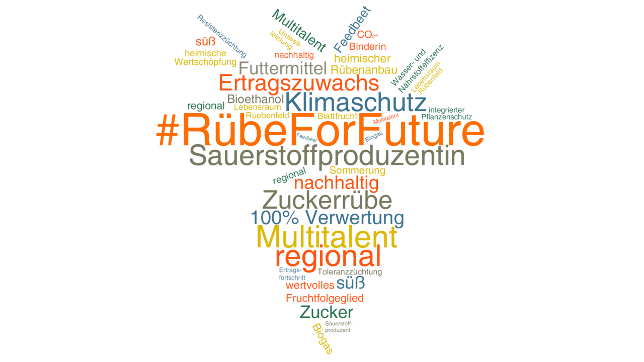 Keyword-Wolke_Ruebe-for-Future.png