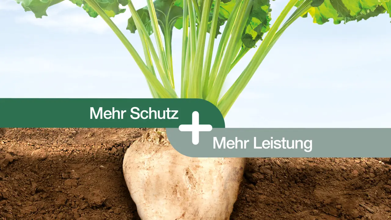 CR+: Mehr Schutz + Mehr Leistung