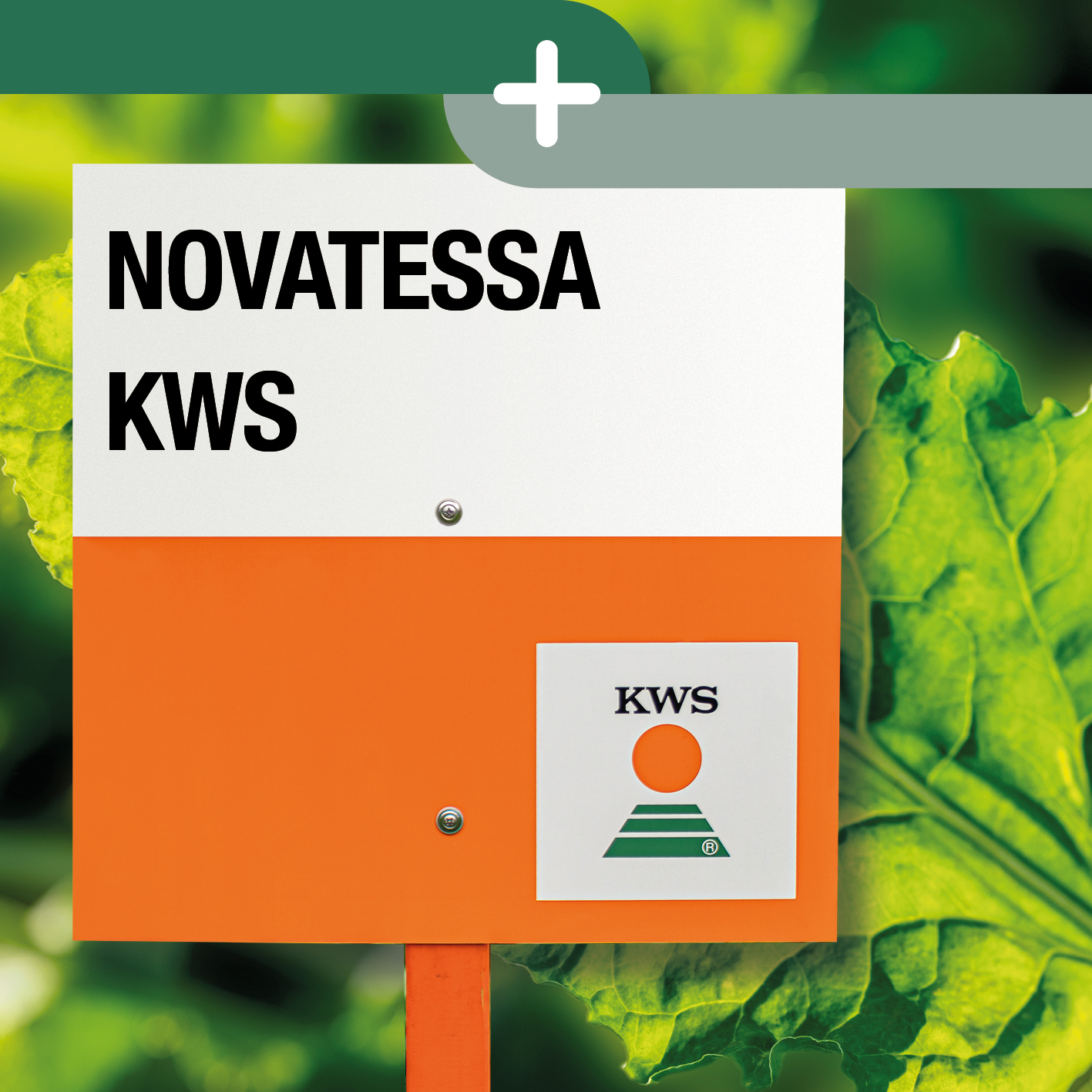 NOVATESSA KWS energy