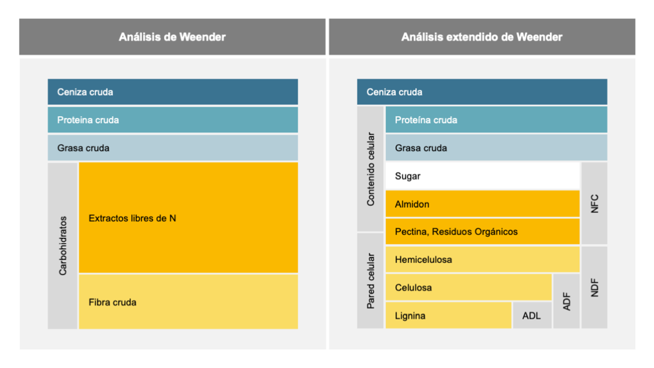KWS_Feeding_Advisor_cow_Graphic_3.png