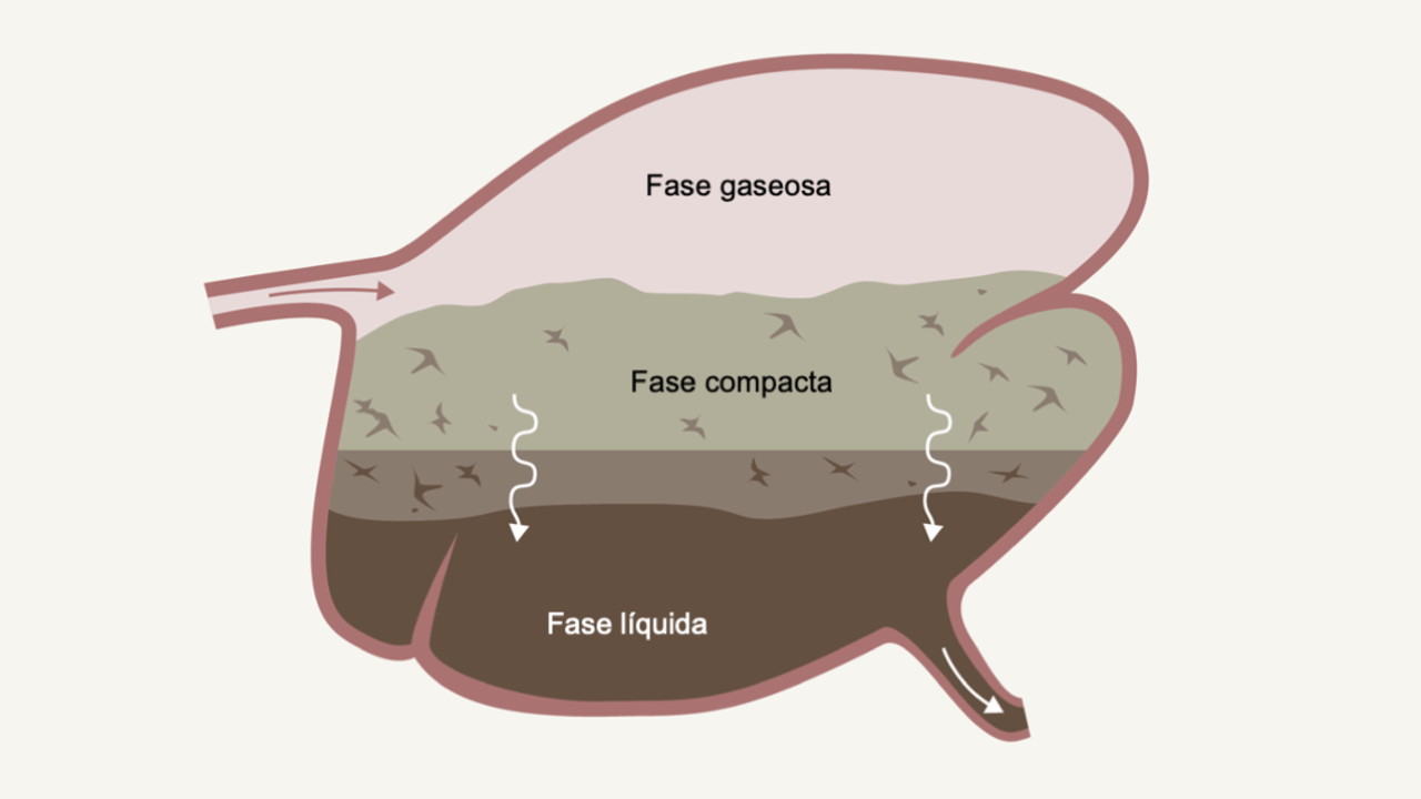 KWS_Feeding_Advisor_cow_Graphic_4.png