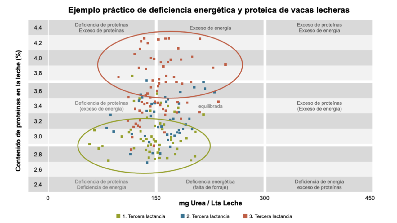 Fuente: Programa ITB; Empresa dsp agrosoft
