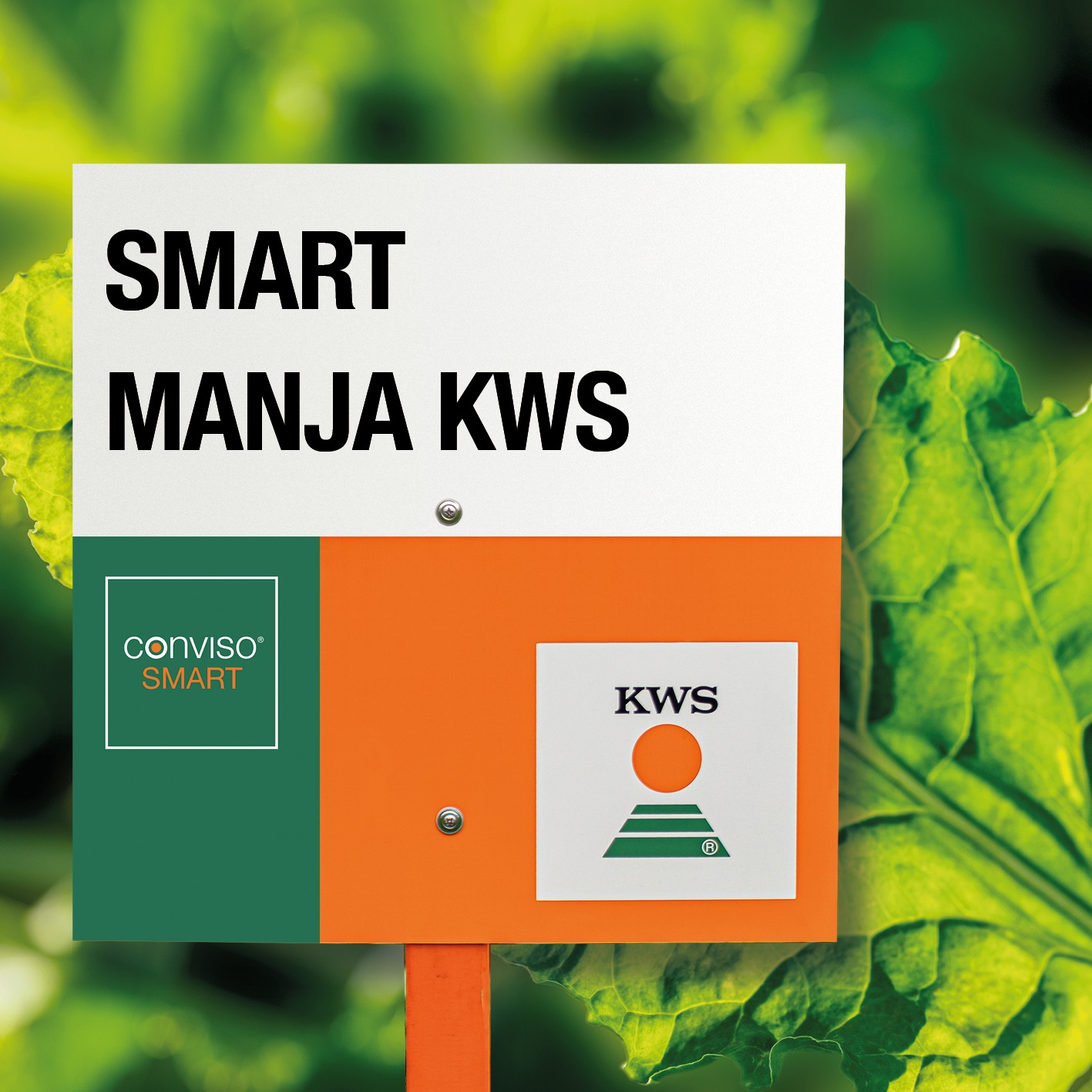 SMART-MANJA-KWS_ES.jpg