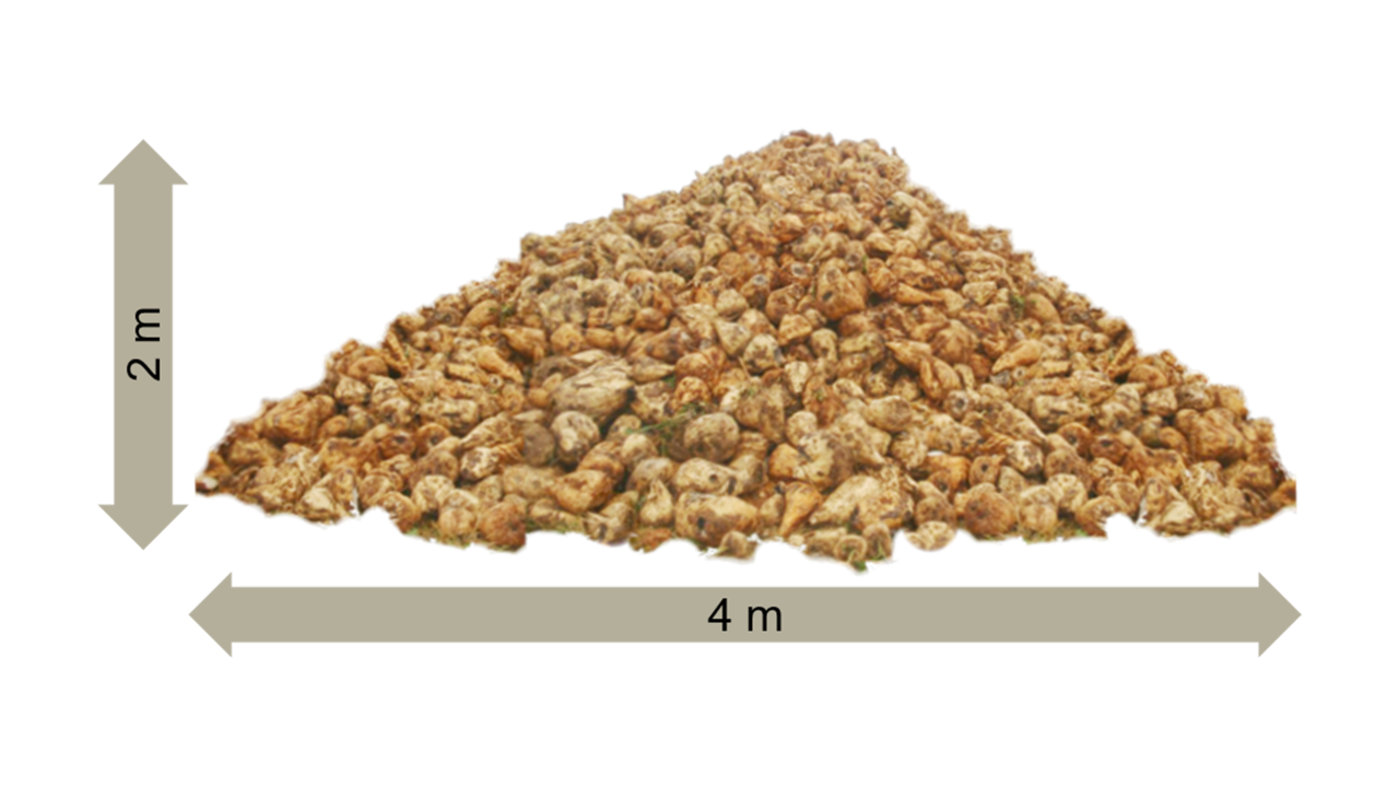 kws_feedbeet_en_fresco_almacenamiento.png