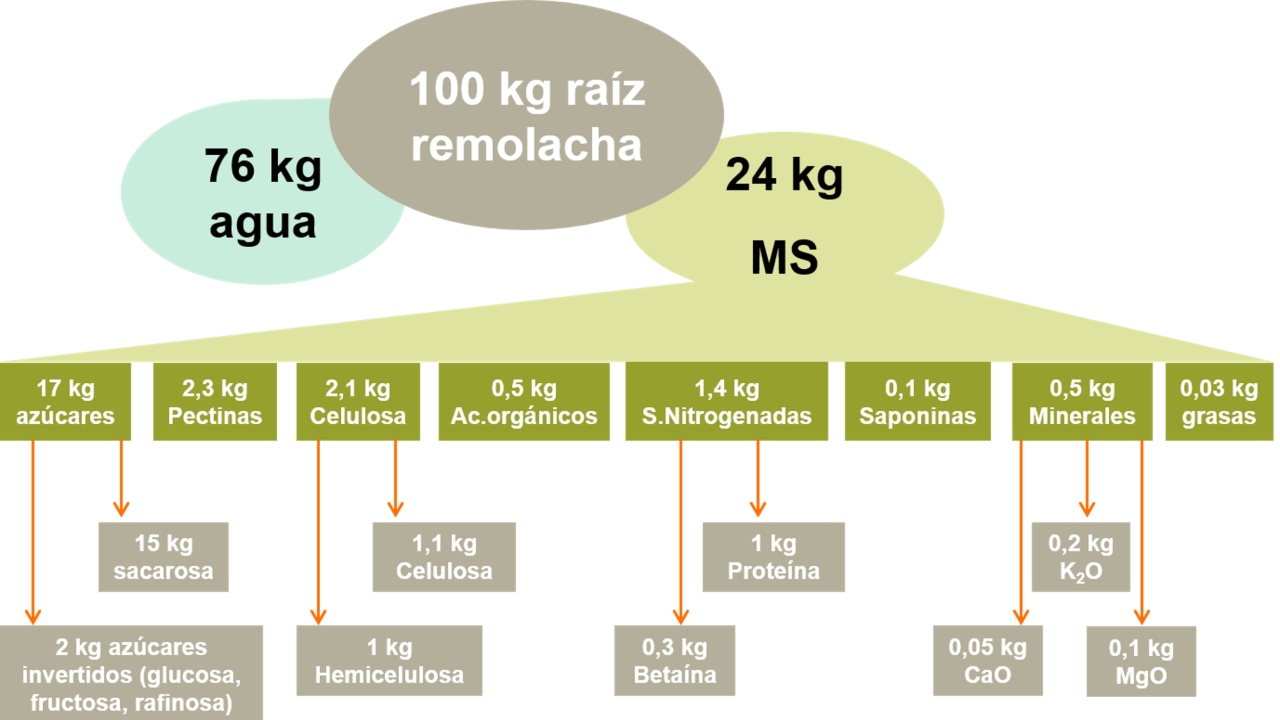 kws_feedbeet_graph_caracter_sticas_nutricionales.png