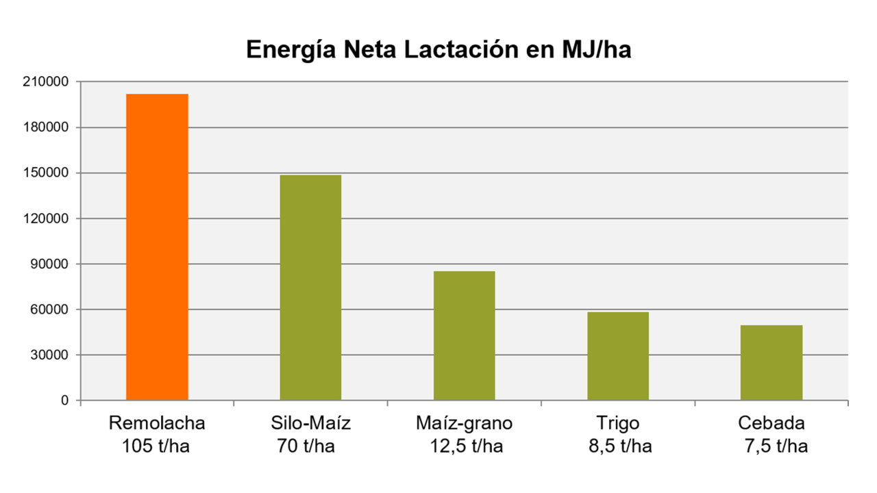 kws_feedbeet_graph_rentabilidad_ganadera.png