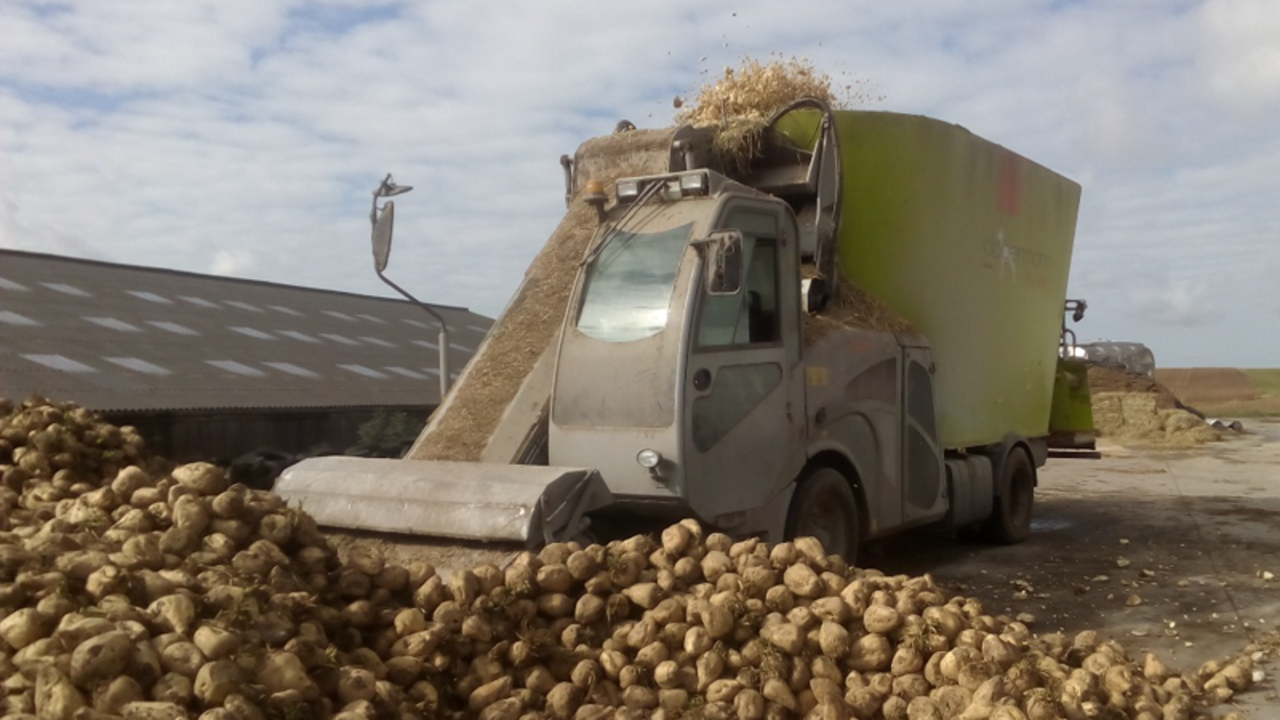 kws_feedbeet_m_quina_.png