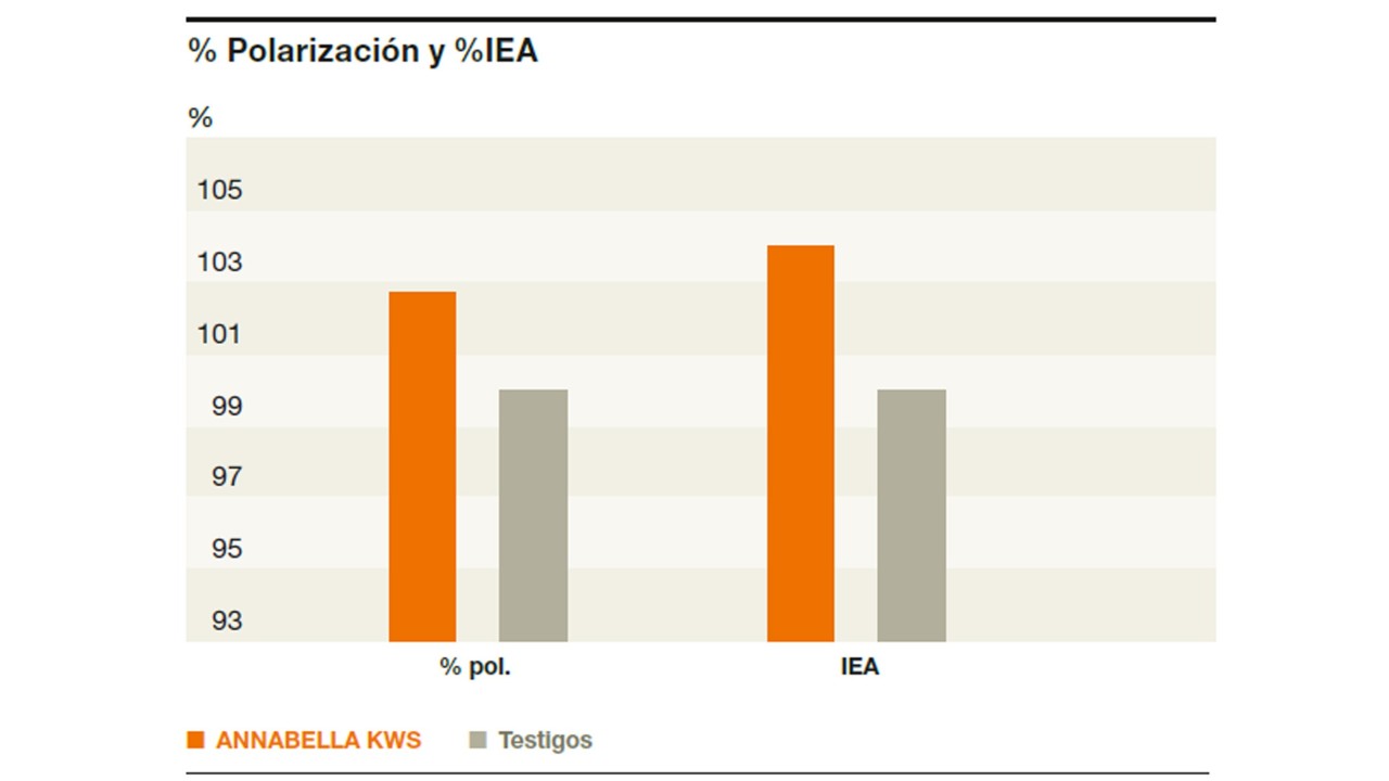 Testigos valor 100 % media de SAMUELA KWS, BTS 315 y BEETLE.